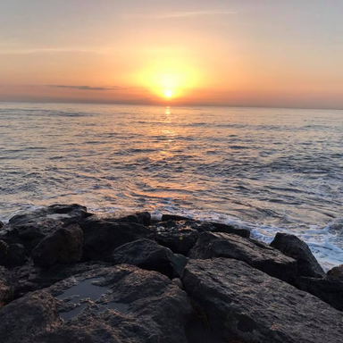 Pilar Folgado Fernandez