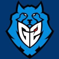 G2 Arctic - Roster League of Legends