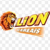 Web advertisement | Play like a Lion